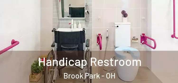 Handicap Restroom Brook Park - OH